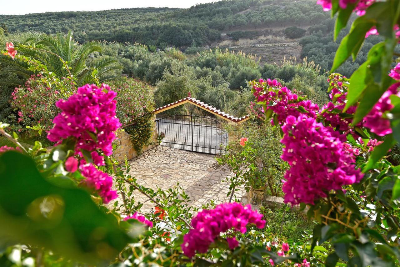 Villa Olive Farm à Agia Marina Extérieur photo