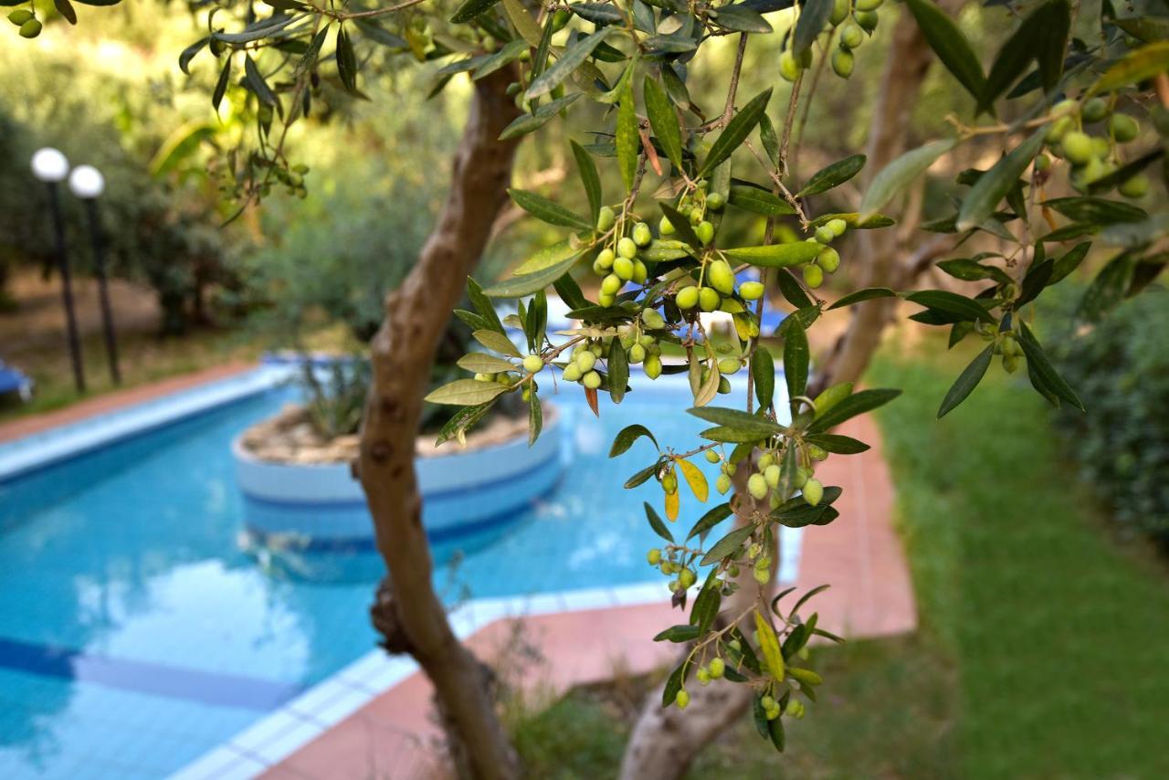 Villa Olive Farm à Agia Marina Extérieur photo
