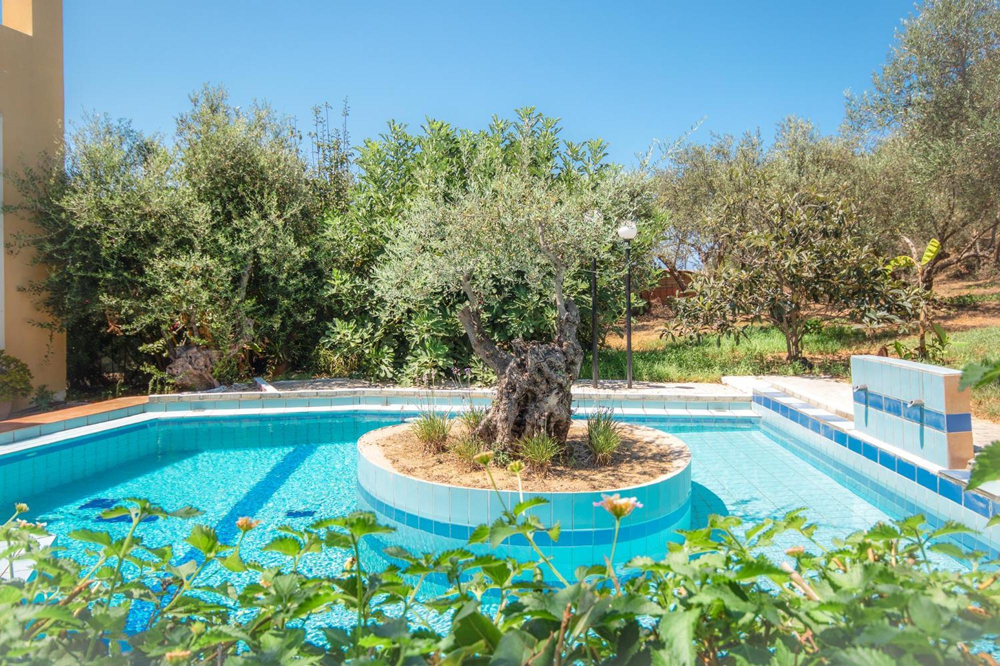 Villa Olive Farm à Agia Marina Extérieur photo