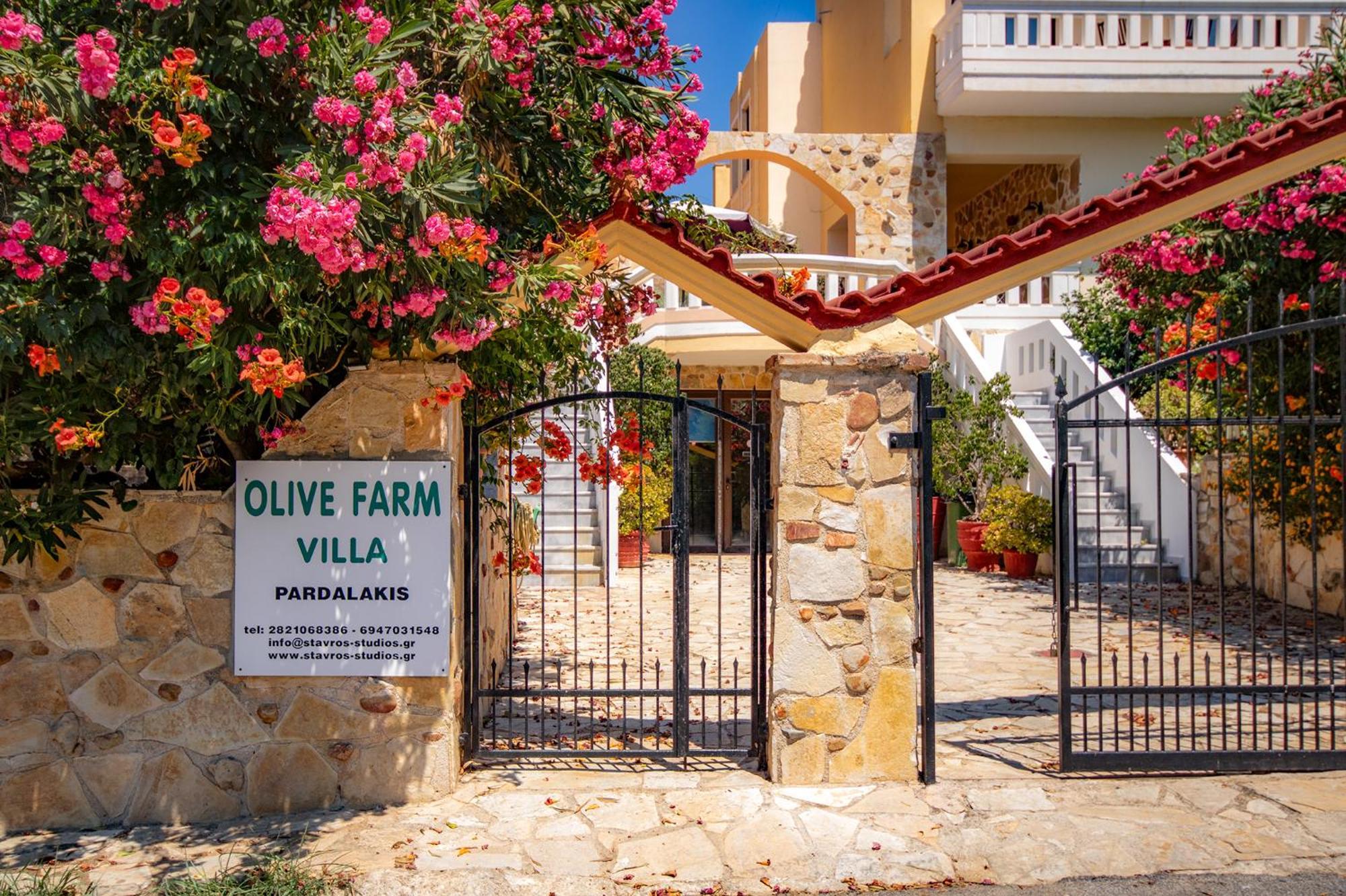 Villa Olive Farm à Agia Marina Extérieur photo